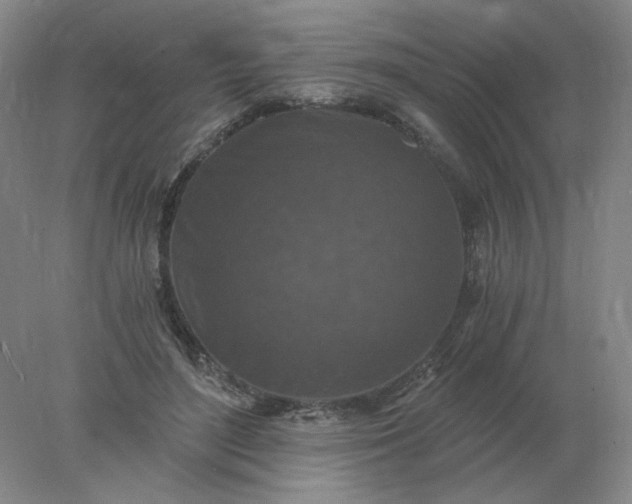 X0000078300500200611172152