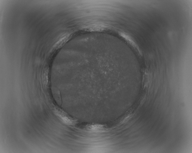 X0000078300501200611172152