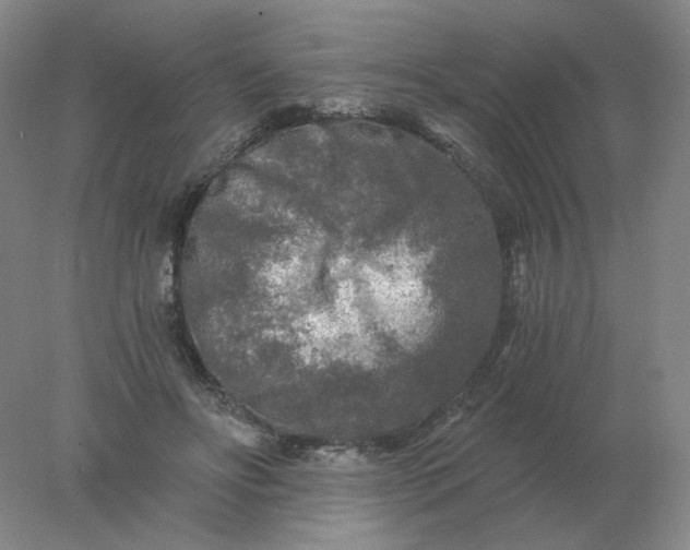 X0000078300502200611172152