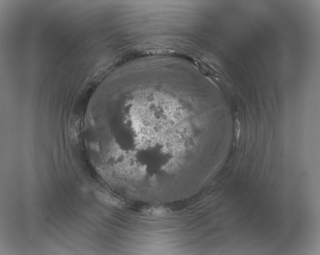 X0000078300503200611172152