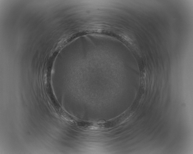 X0000078300504200611172152