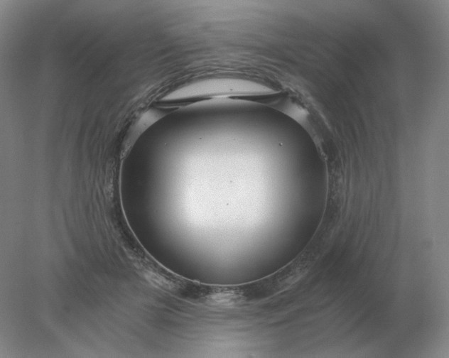 X0000078300505200611172152