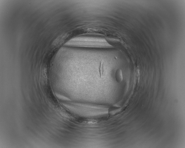 X0000078300506200611172152