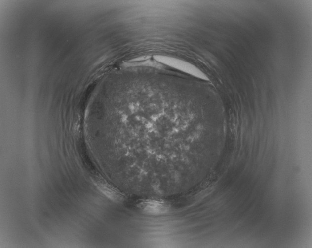 X0000078300507200611172152