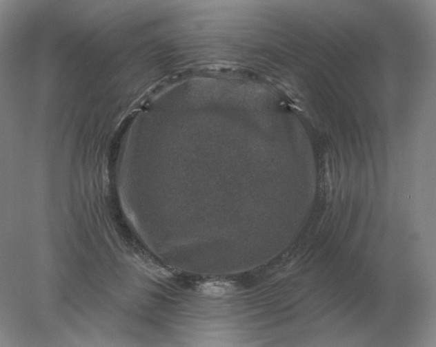 X0000078300508200611172152