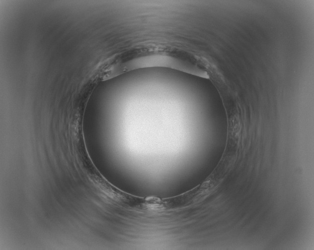 X0000078300509200611172152