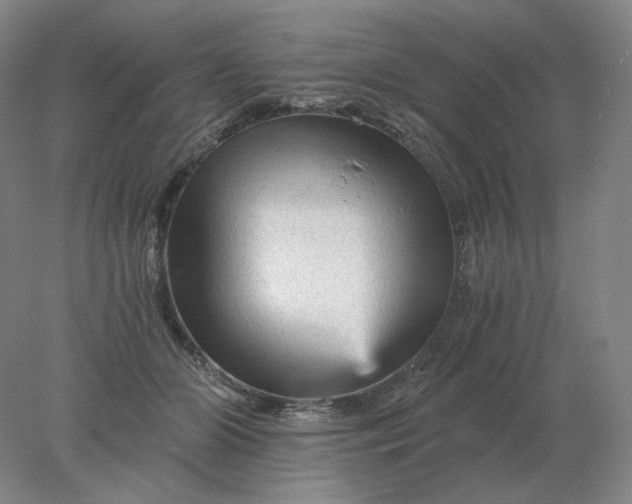 X0000078300510200611172152