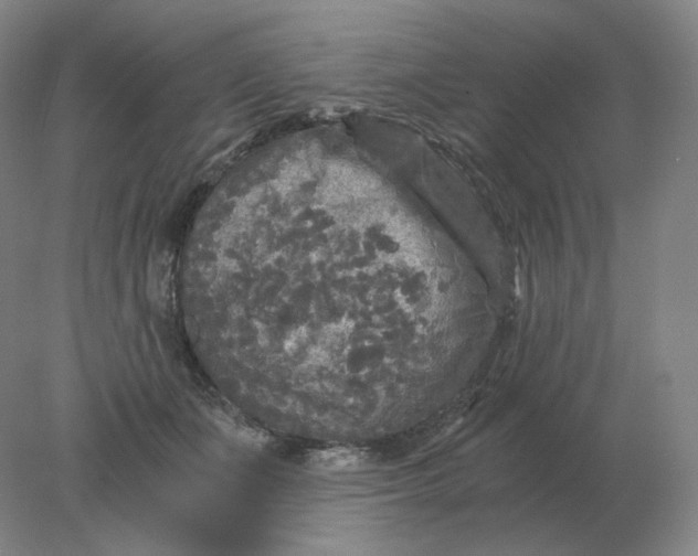 X0000078300511200611172152