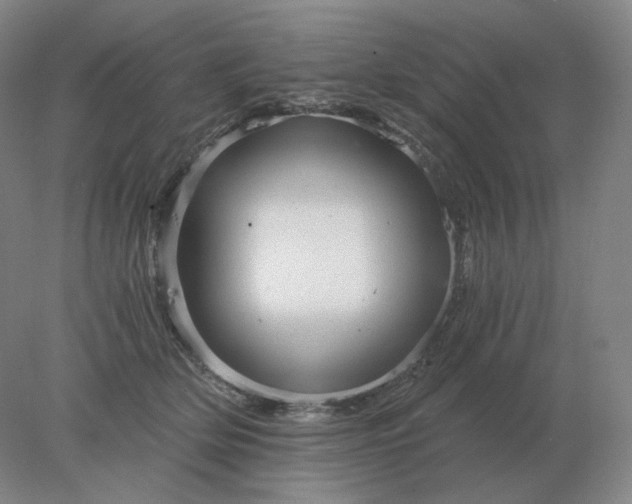 X0000078300514200611172151