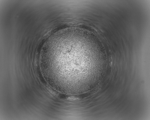 X0000078300515200611172151