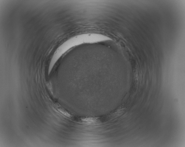 X0000078300516200611172151