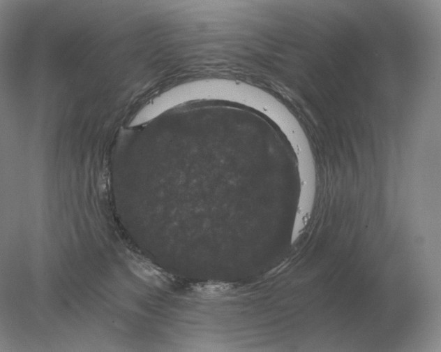 X0000078300517200611172151