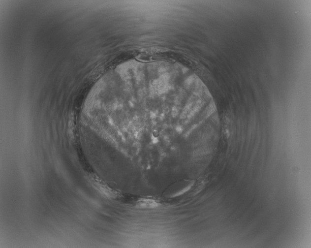 X0000078300519200611172151