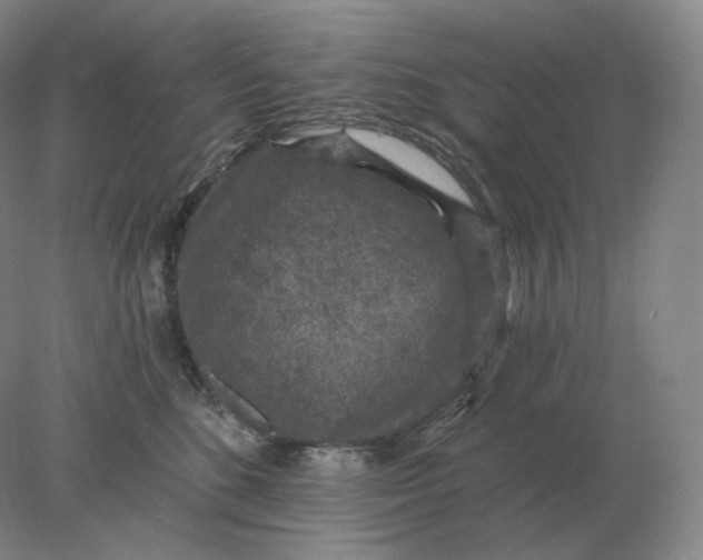 X0000078300520200611172151