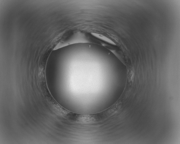 X0000078300521200611172151