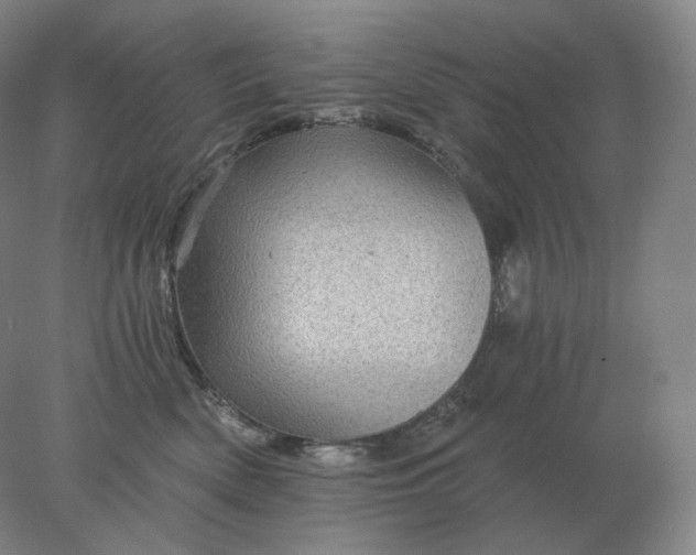 X0000078300522200611172151