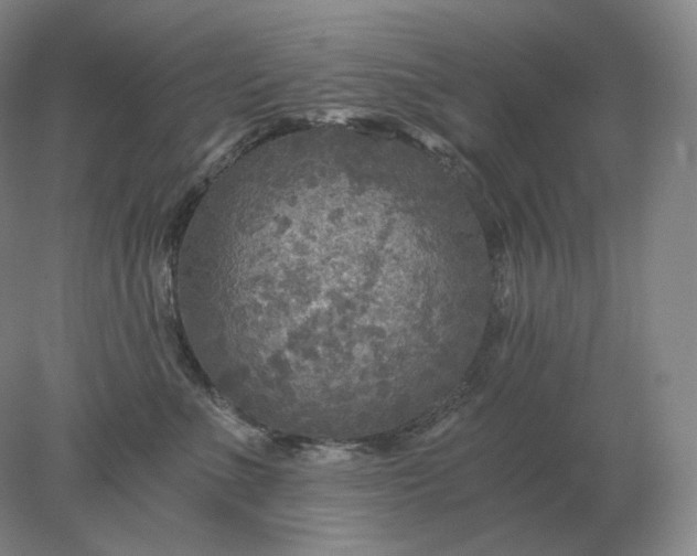 X0000078300523200611172151