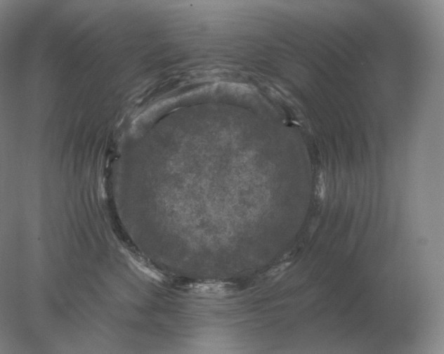 X0000078300524200611172151