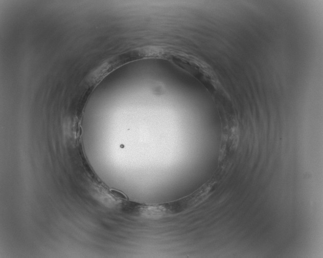 X0000078300525200611172151