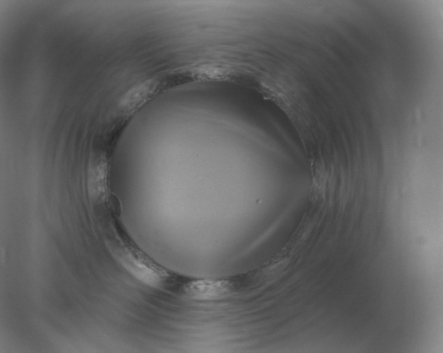 X0000078300526200611172151