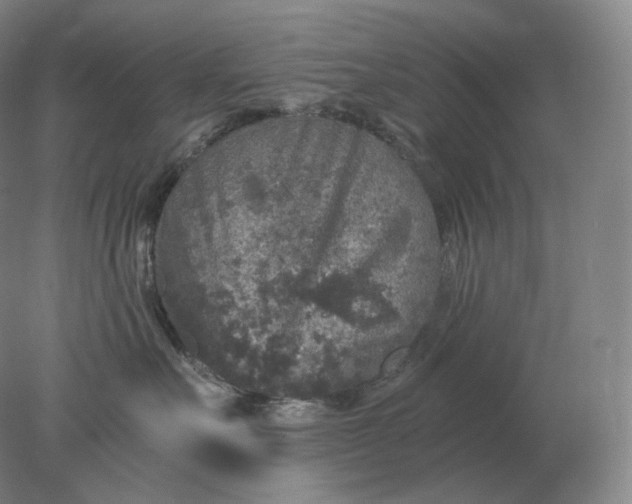 X0000078300527200611172151