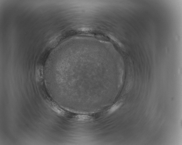 X0000078300528200611172151