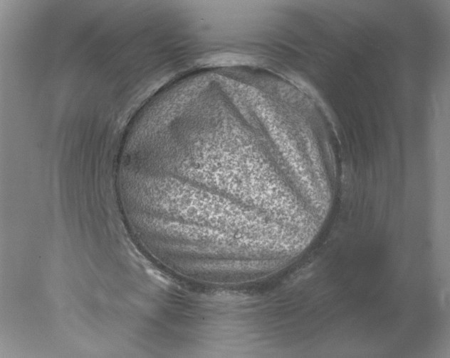 X0000078300529200611172150