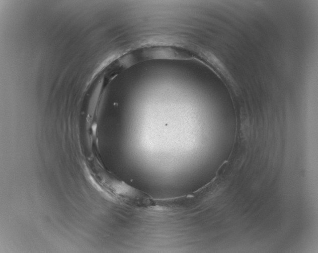 X0000078300530200611172150