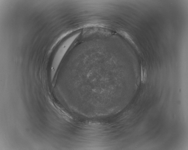 X0000078300531200611172150