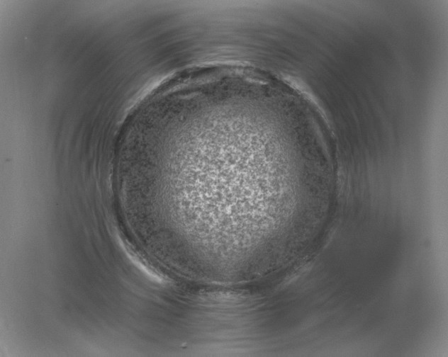 X0000078300533200611172151