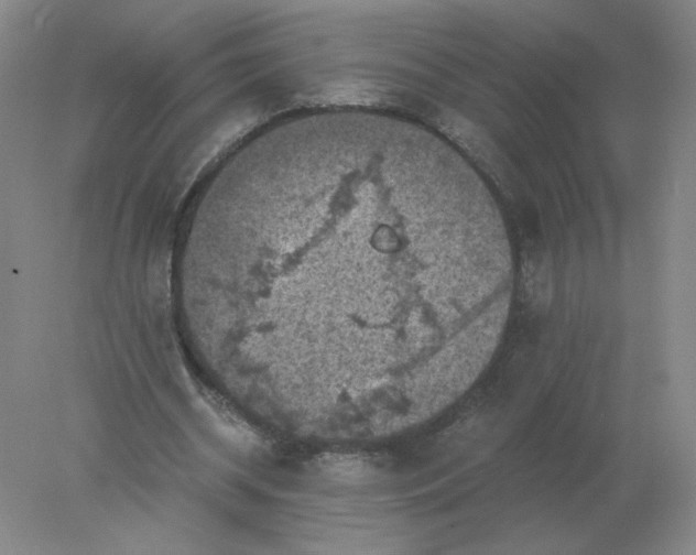 X0000078300534200611172151