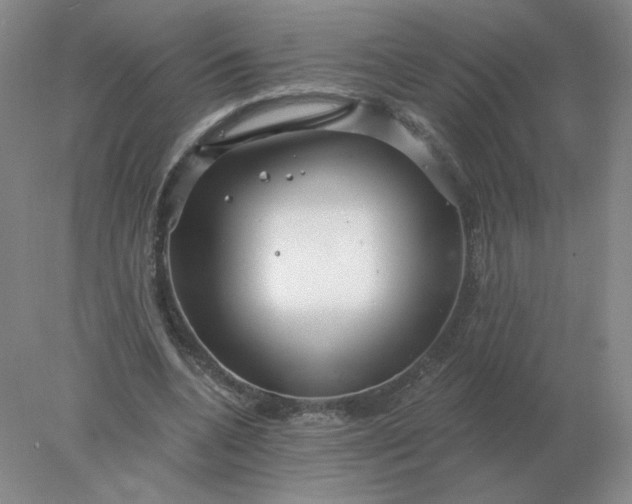 X0000078300536200611172151