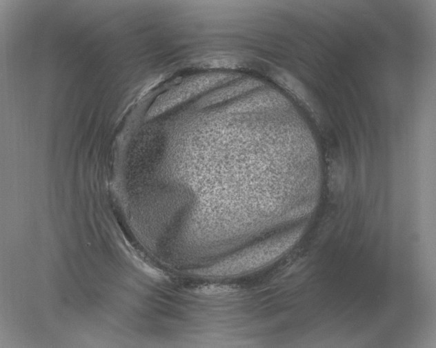 X0000078300537200611172151