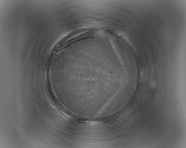 X0000078300539200611172151