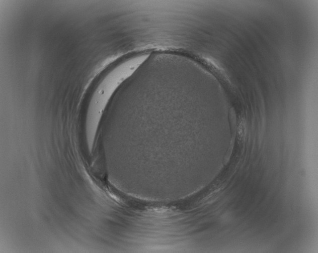 X0000078300540200611172151