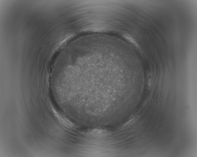 X0000078300542200611172151