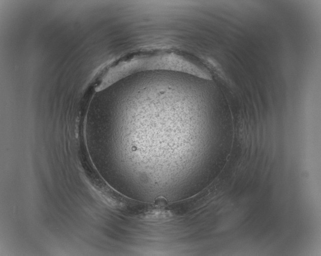 X0000078300543200611172151