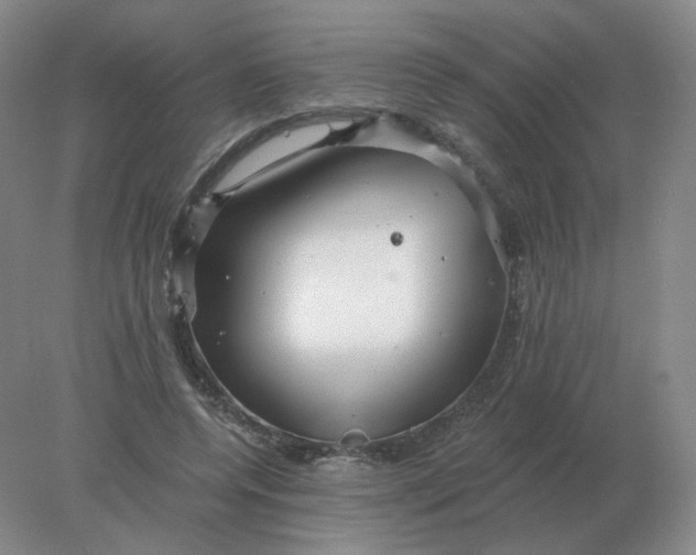 X0000078300544200611172151