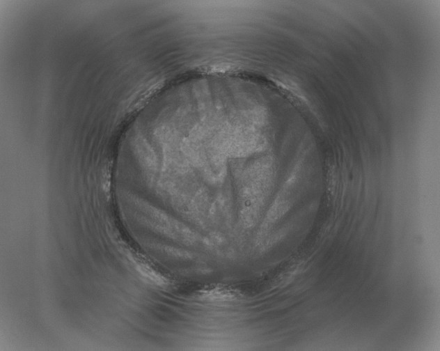 X0000078300545200611172151