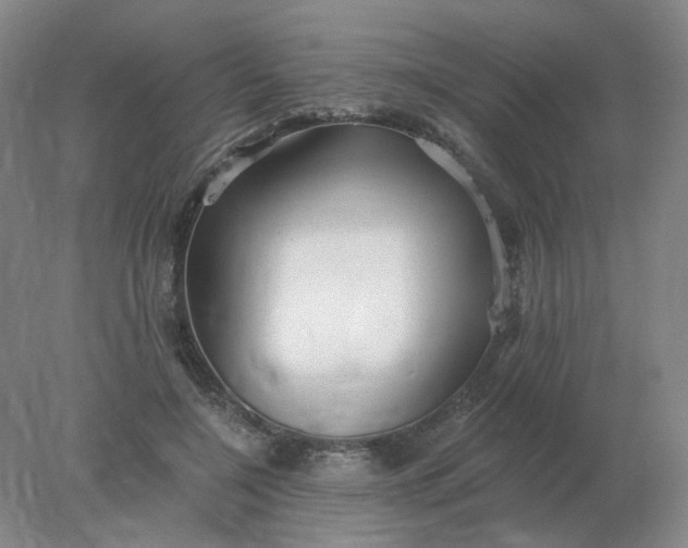 X0000078300548200611172151