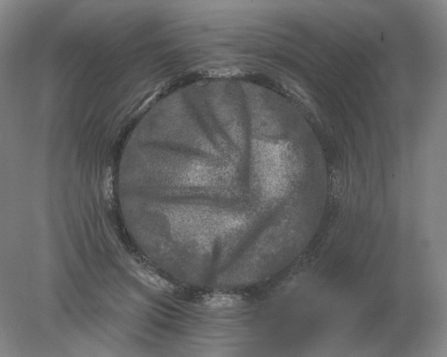 X0000078300549200611172151