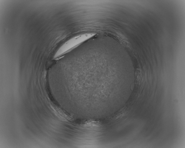 X0000078300550200611172151