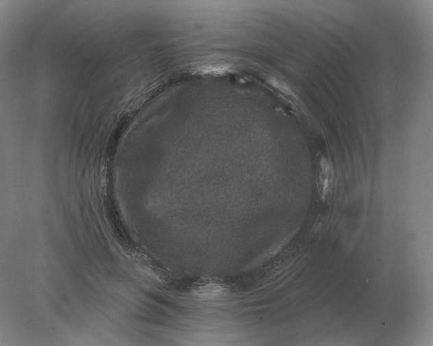 X0000078300551200611172151