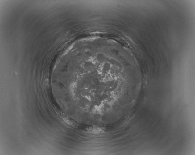 X0000078300553200611172151