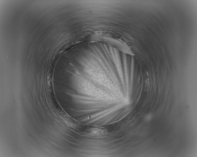 X0000078300555200611172151