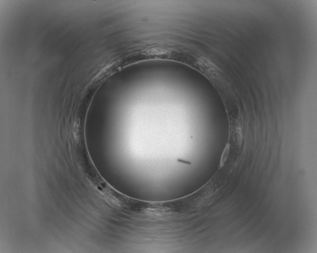 X0000078300556200611172151