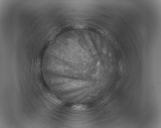 X0000078300557200611172151