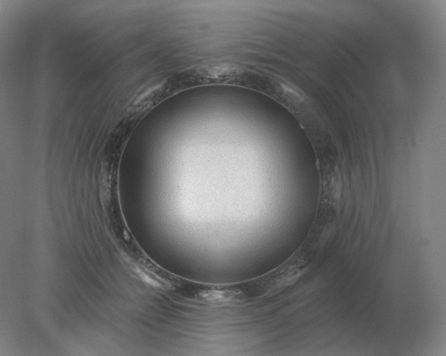 X0000078300558200611172151