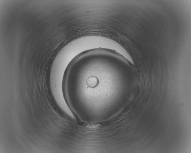 X0000078300560200611172151