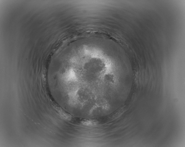 X0000078300561200611172151